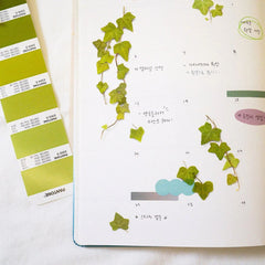 Appree Pressed Flower Sticker - Ivy