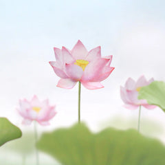 Appree Leaf Sticky Memo Notes - Pink Lotus